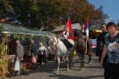 Oplenacka berba 2011_10