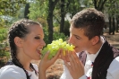 Oplenacka berba 2011_13
