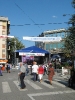 Oplenacka berba 2011_17
