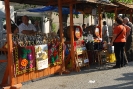 Oplenacka berba 2011_1