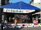 Oplenacka berba 2011_20