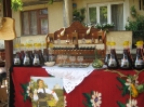 Oplenacka berba 2011_22