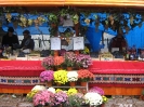 Oplenacka berba 2011_27
