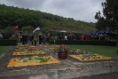 Oplenacka berba 2011_30