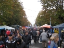 Oplenacka berba 2011_31