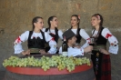 Oplenacka berba 2011_46