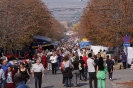 Oplenacka berba 2011_4
