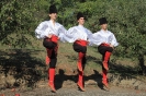 Oplenacka berba 2011_7
