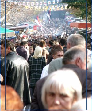 Опленачка берба 2010