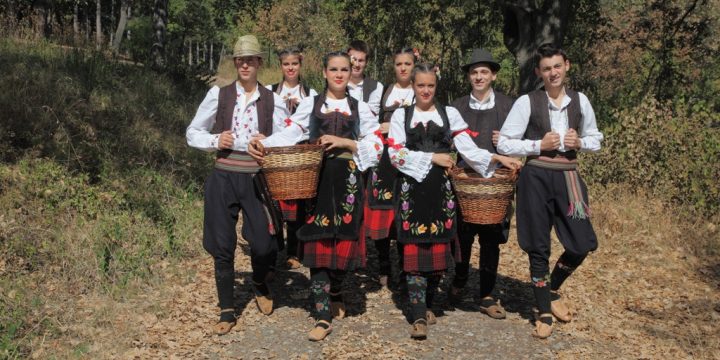 Опленачка берба 2011