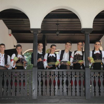 oplenacka_berba_2011_45_20111101_1168359667