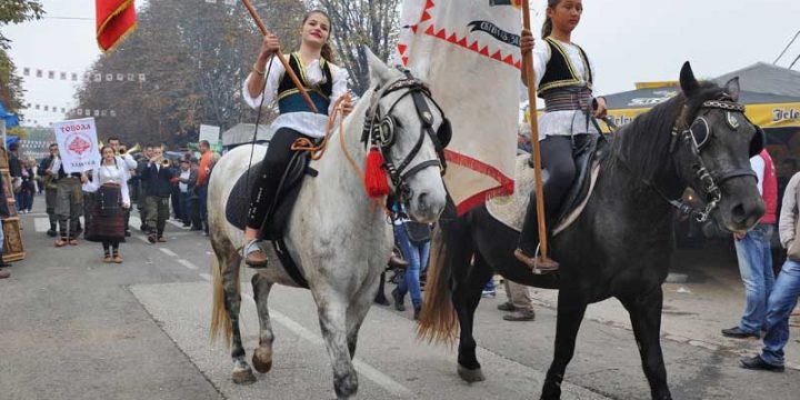 Опленачка берба 2012