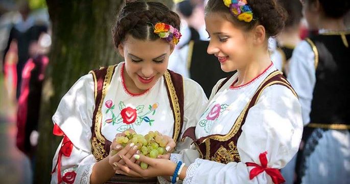 Опленачка берба 2013