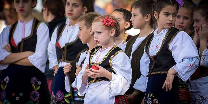 Опленачка берба 2015
