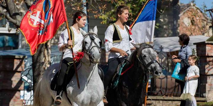 Опленачка берба 2014
