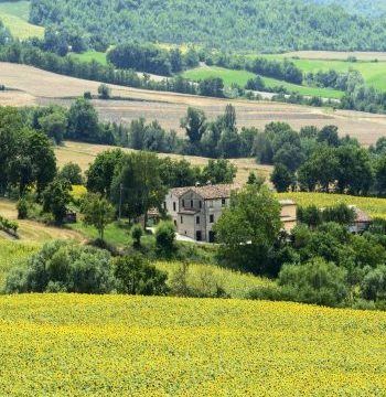 ПОНУДА СЕОСКИХ ТУРИСТИЧКИХ ДОМАЋИНСТАВА ТОПОЛЕ