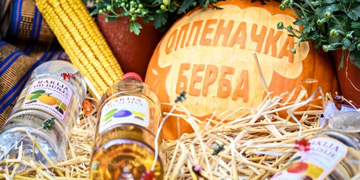 ОПЛЕНАЧКА БЕРБА У ИЗБОРУ ЗА НАЈБОЉУ МАНИФЕСТАЦИЈУ