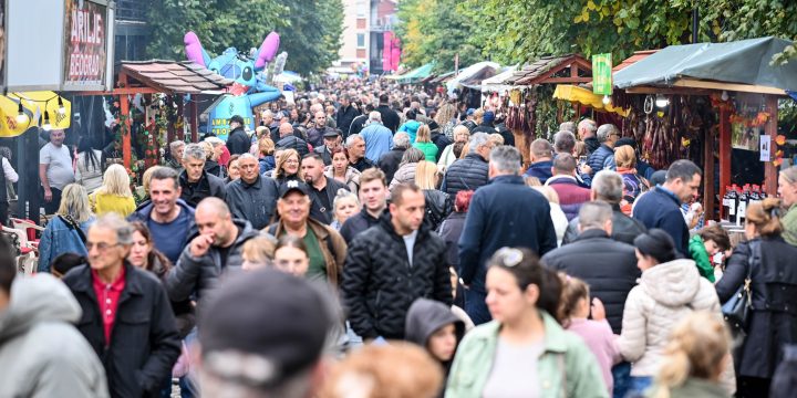 Туристичка манифестација „Опленачка берба“