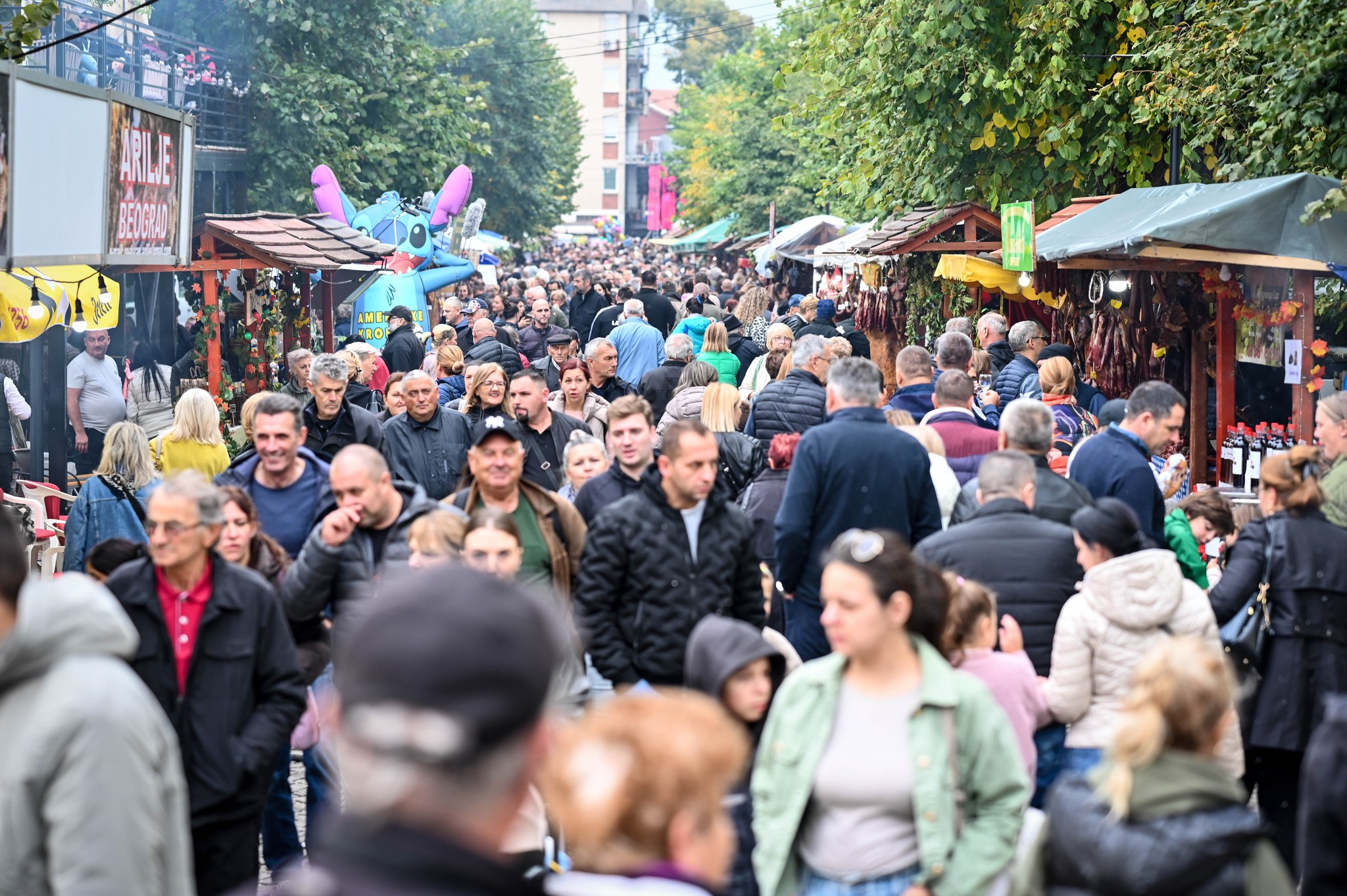Туристичка манифестација „Опленачка берба“